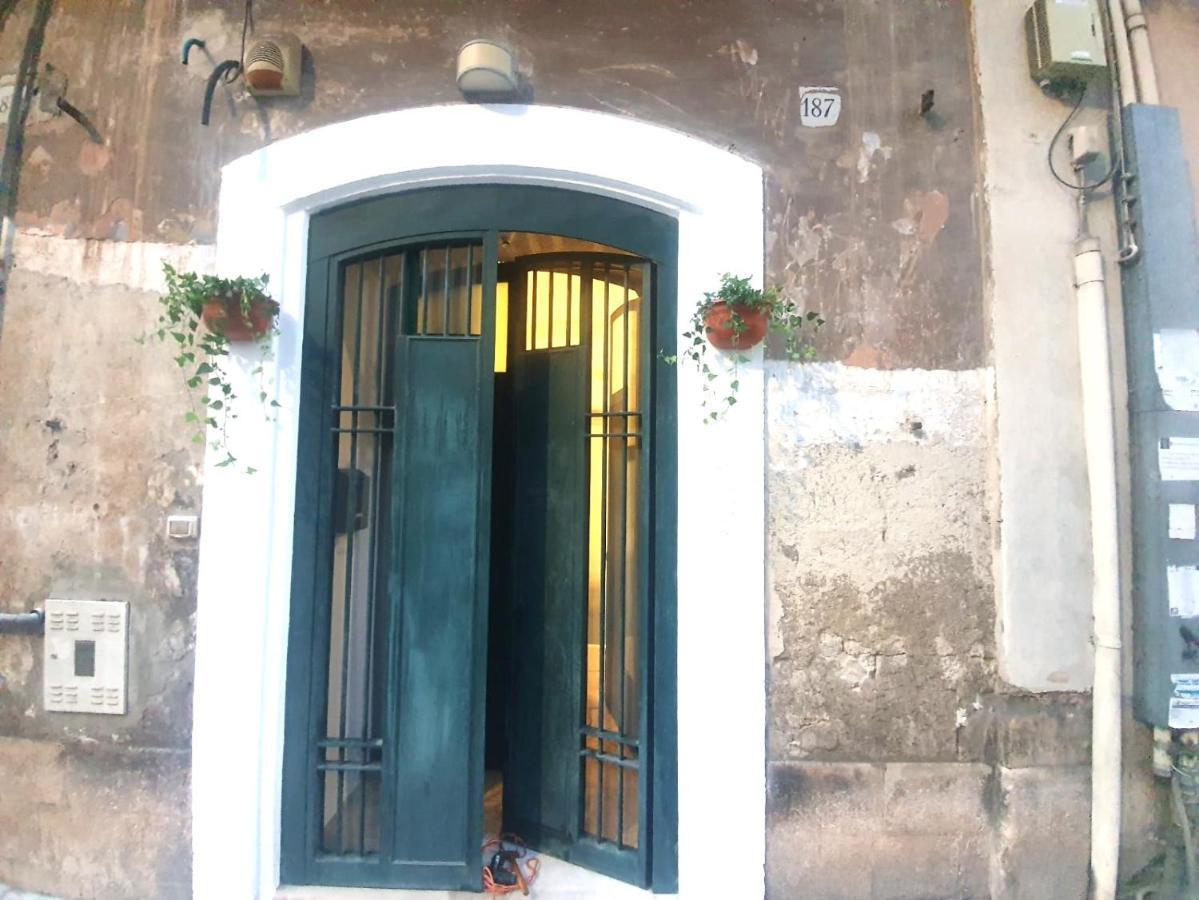 Little Green Home Bari Exterior photo